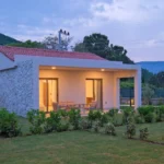 casadila-oda-zeytin-14